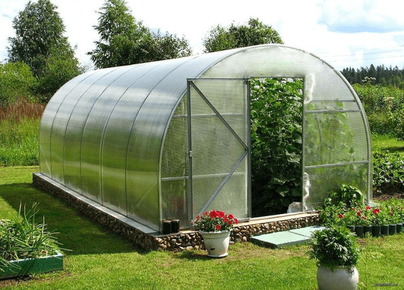 Фото greenhouses.png
