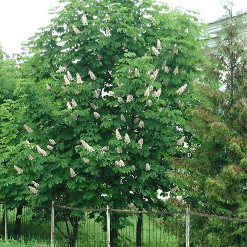 Фото view_dwxfqikkexpxarmiwftm_9m8jcsdyiy6.jpg