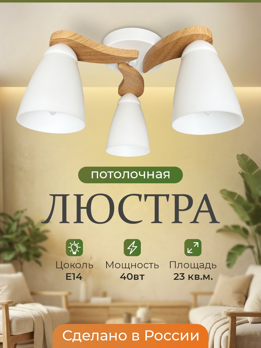 Фото Sonata-_tyulpan_-3-_-1.jpg