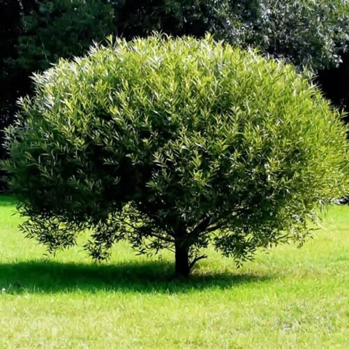 Фото view_e3bo7mlfewh0popvs1m0z7xuufbrx3ey.jpg